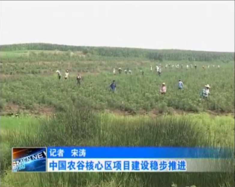 上半年中國(guó)農(nóng)谷核心區(qū)項(xiàng)目建設(shè)穩(wěn)步推進(jìn)